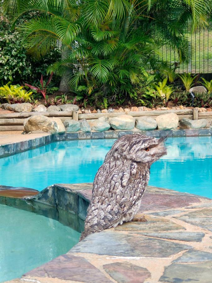Gumnut Glen Cabins Yeppoon Εξωτερικό φωτογραφία